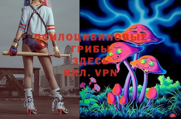 мдпв Армянск