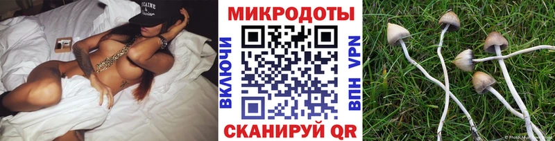 цены mega онион Псилоцибиновые грибы GOLDEN TEACHER Асино