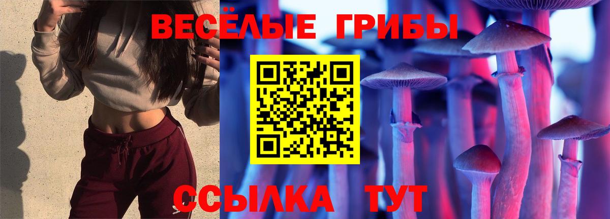 Псилоцибиновые грибы Magic Shrooms  Асино 