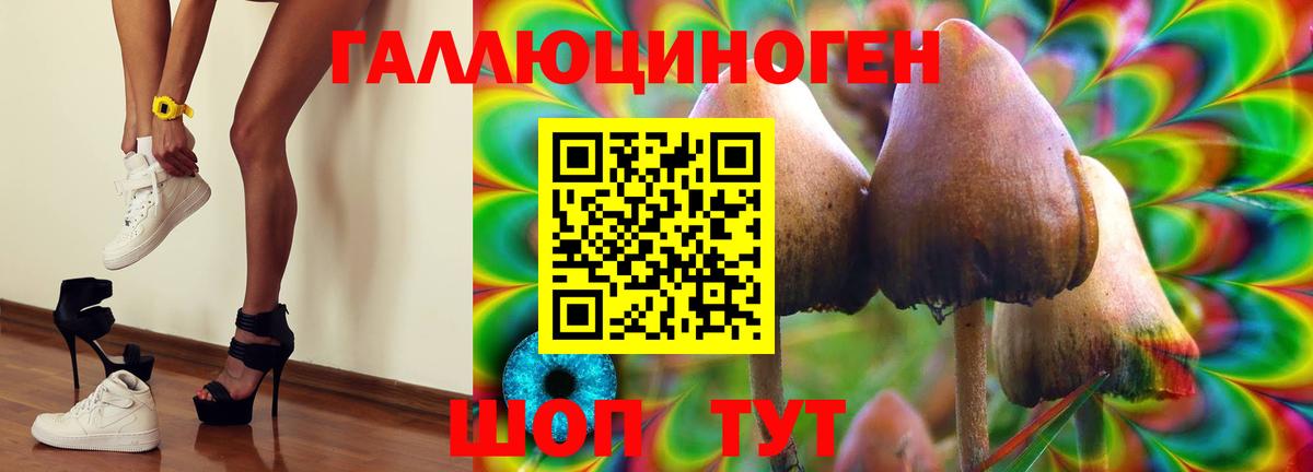 Псилоцибиновые грибы ЛСД  Вход с VPN  Асино 